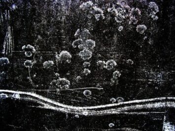 Abstract decay on a concrete wall. Tanakawho / Creative Commons