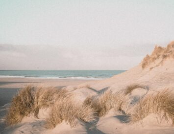 Beach. Photo: Chantal Kemp.