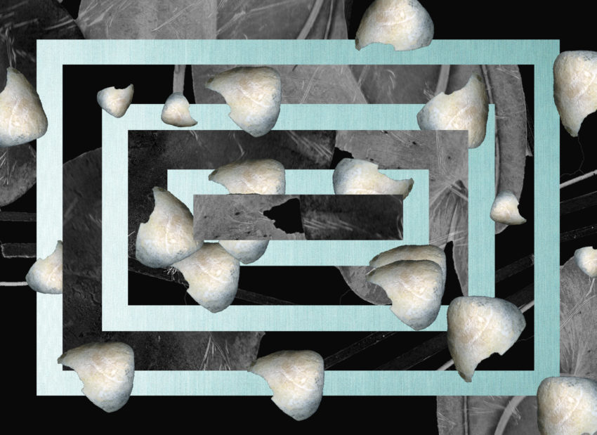 Leaves on a geometric pattern