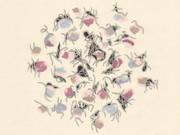 Graphic by Jocelyn Spaar.