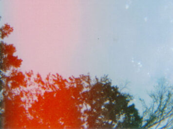 Derrick Tyson / Creative Commons