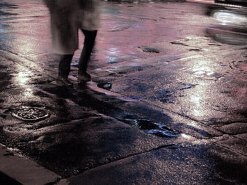 Gail Williams / Creative Commons