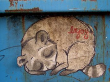 Graffiti of sleeping raccoon with the word "enjoy" written on it. Image: ﻿﻿Pearl Pirie / Creative Commons