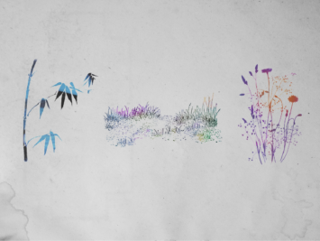 Graphic with plants. Illustration by Laura Padilla Castellanos.