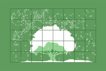 Illustration of a tree in snowy landscape by Laura Padilla Castellanos