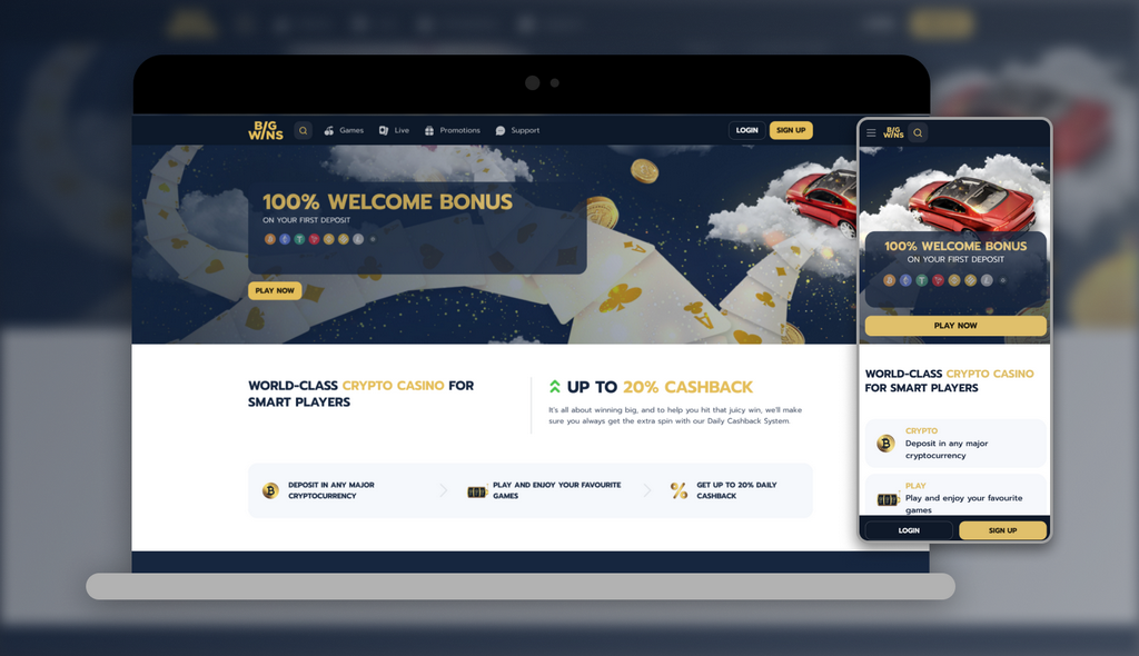 BigWins Casino Site: Player Rankings & Our Judgment